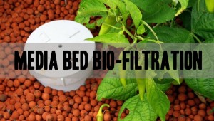 media bed bio filtration aquaponics