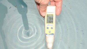 Buffering pH and Alkalinity in Aquaponic Systems