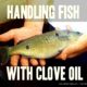 handling fish clove oil