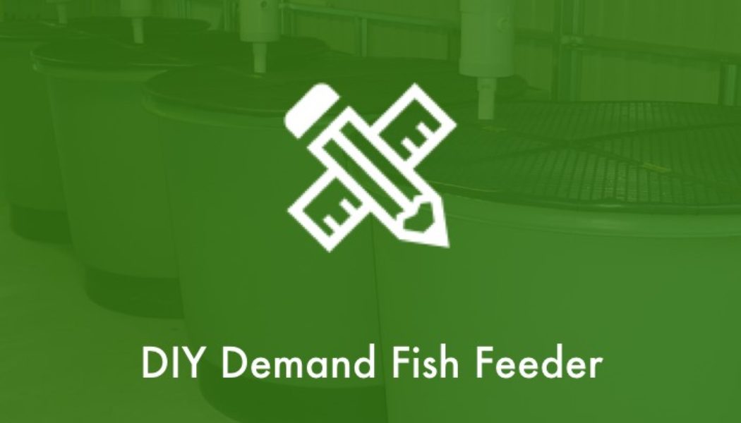 DIY Demand Fish Feeder