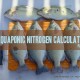 aquaponics nitrogen calculator