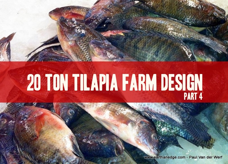 20 Ton Tilapia Farm Part 4 Mortality Aquaponic and Aquaculture