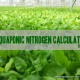 Aquaponic Nitrogen Calculator – What is it?