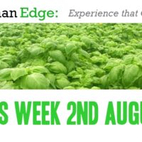 This Week On Earthan Edge 2nd August
