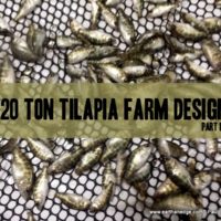 tilapia farm design aquaculture aquaponics