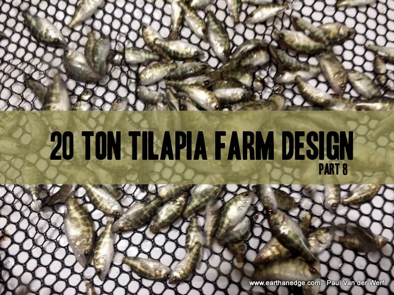 20 Ton Tilapia Farm – Part 8 - Feed Calculations ...