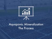 aquaponic-mineralization.001