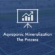 aquaponic-mineralization.001