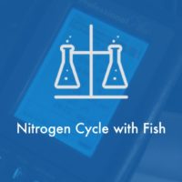 Nitrogen-cycle-fish