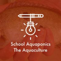 school-aquaponics